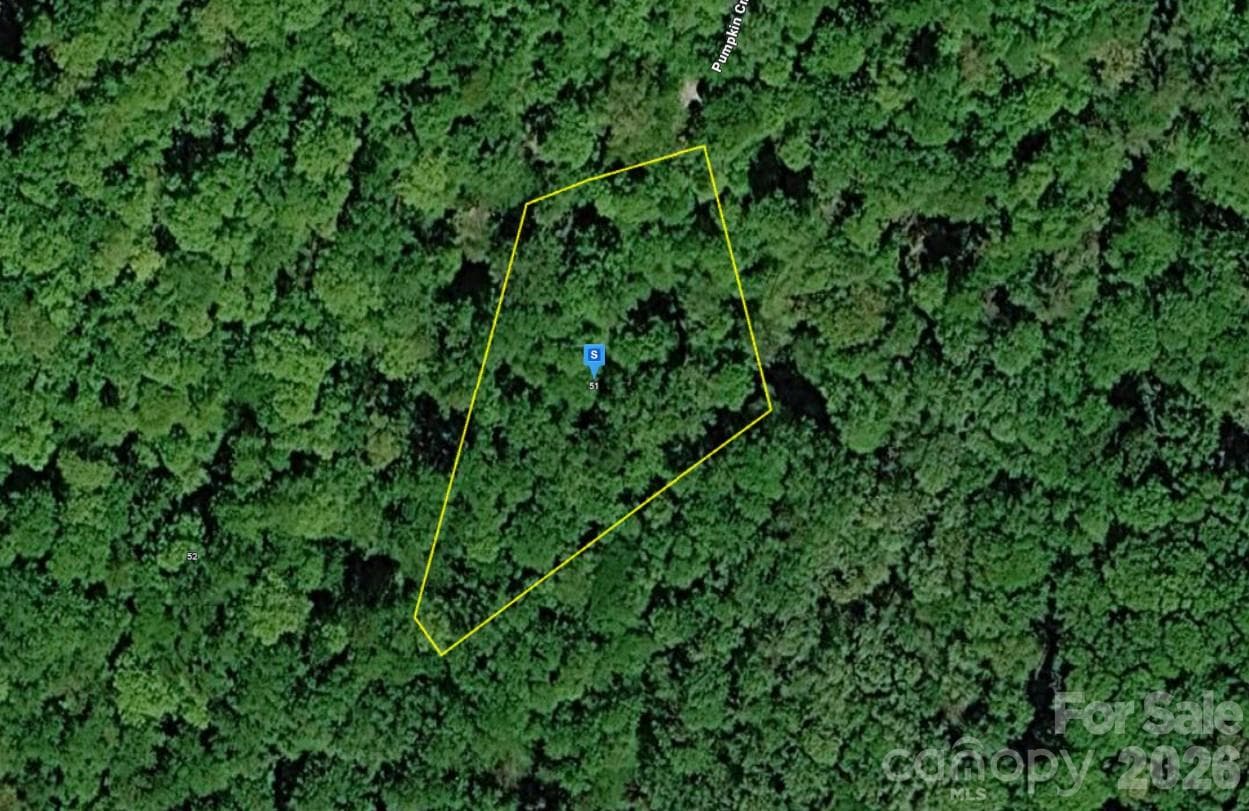 51 Pumpkin Creek Lane