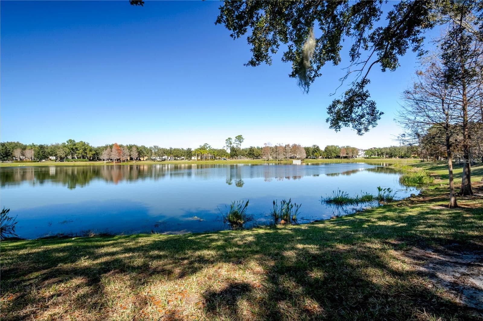 Condominium at 8168 BOAT HOOK LOOP #302, WINDERMERE, photo 51 of 57