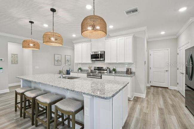 Model home - actual features may vary. - 63 LOCUST DR, OCALA