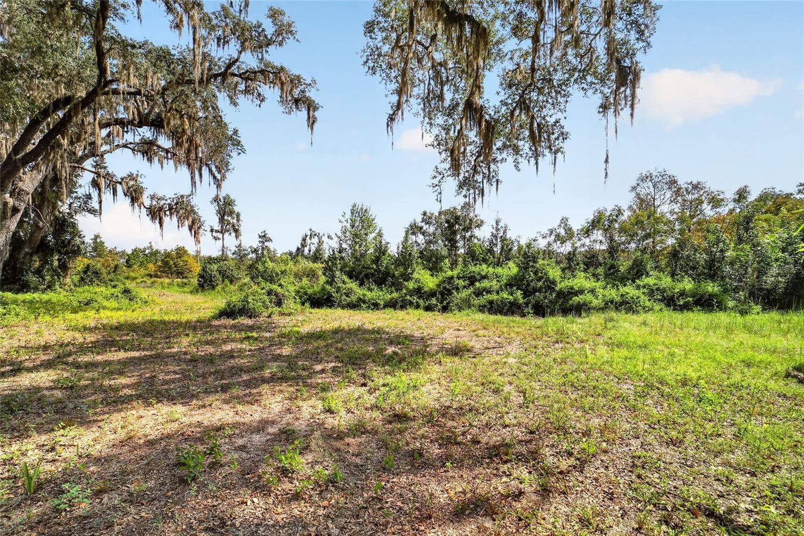Land at 5686 E HIGHWAY 316, CITRA, photo 22 of 42