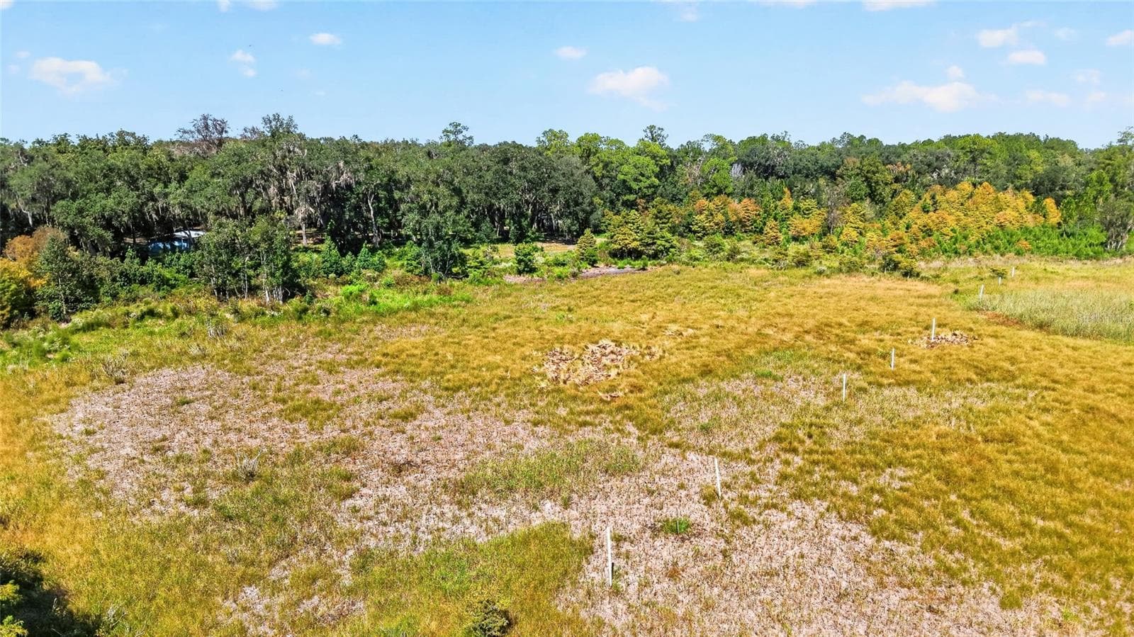 Land at 5686 E HIGHWAY 316, CITRA, photo 27 of 42
