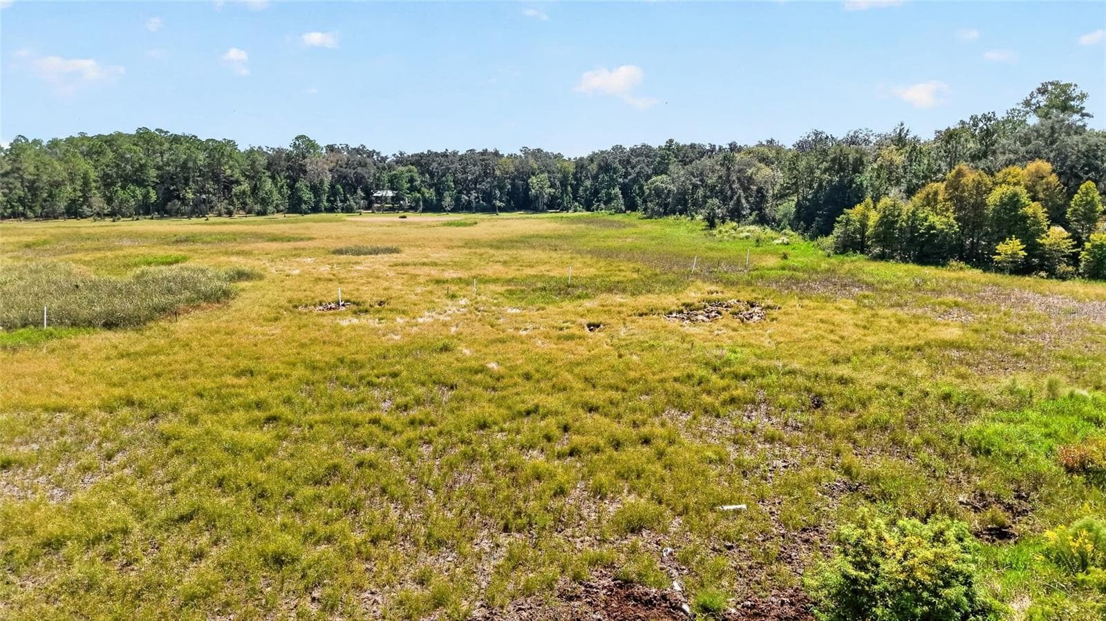 Land at 5686 E HIGHWAY 316, CITRA, photo 28 of 42