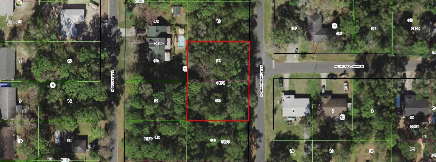 8488/8492 N Orangebud Terrace, Crystal River FL 34428