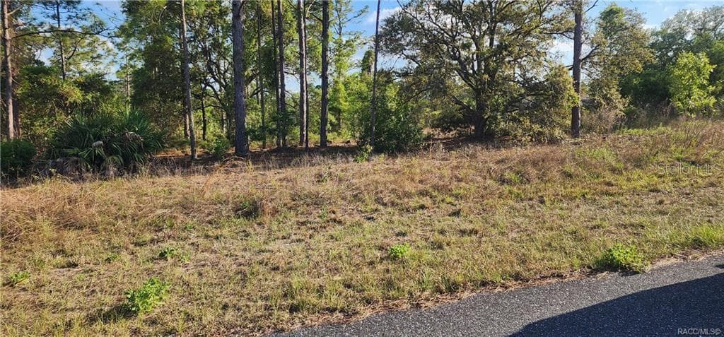Land at 3420 W Hayward LN, CITRUSSPRINGS FL 34433, Citrus Springs