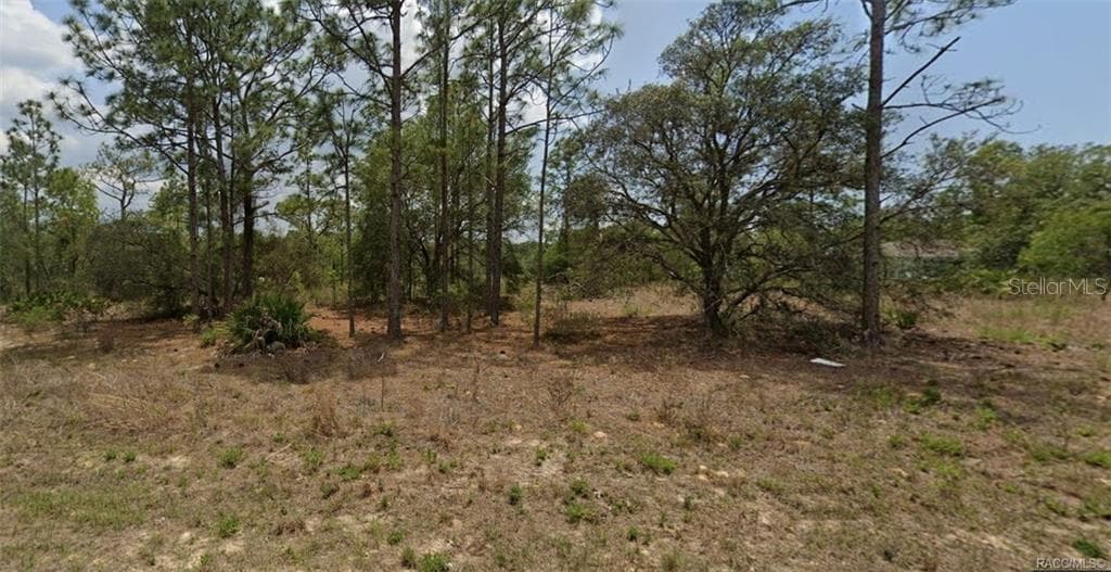 Land at 3420 W Hayward LN, CITRUSSPRINGS FL 34433, Citrus Springs, photo 2 of 8