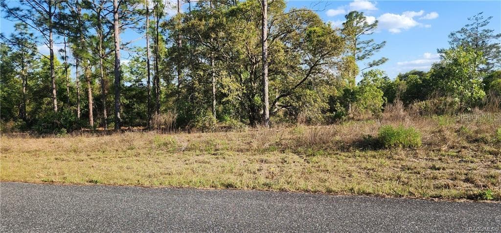 Land at 3420 W Hayward LN, CITRUSSPRINGS FL 34433, Citrus Springs, photo 7 of 8