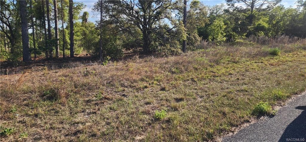 Land at 3420 W Hayward LN, CITRUSSPRINGS FL 34433, Citrus Springs, photo 8 of 8