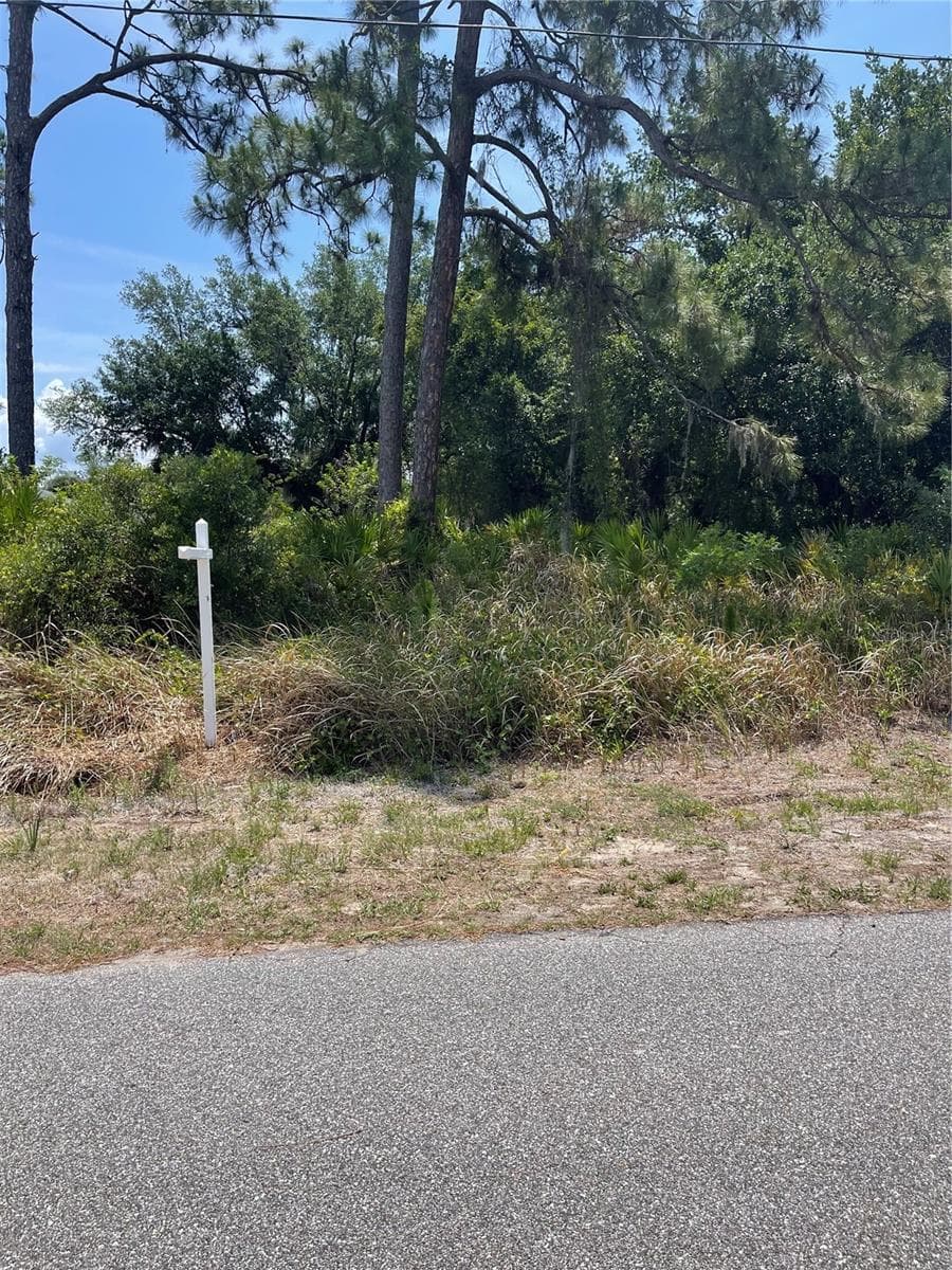 Land at 134 KIRBY ST, PORT CHARLOTTE, photo 6 of 8