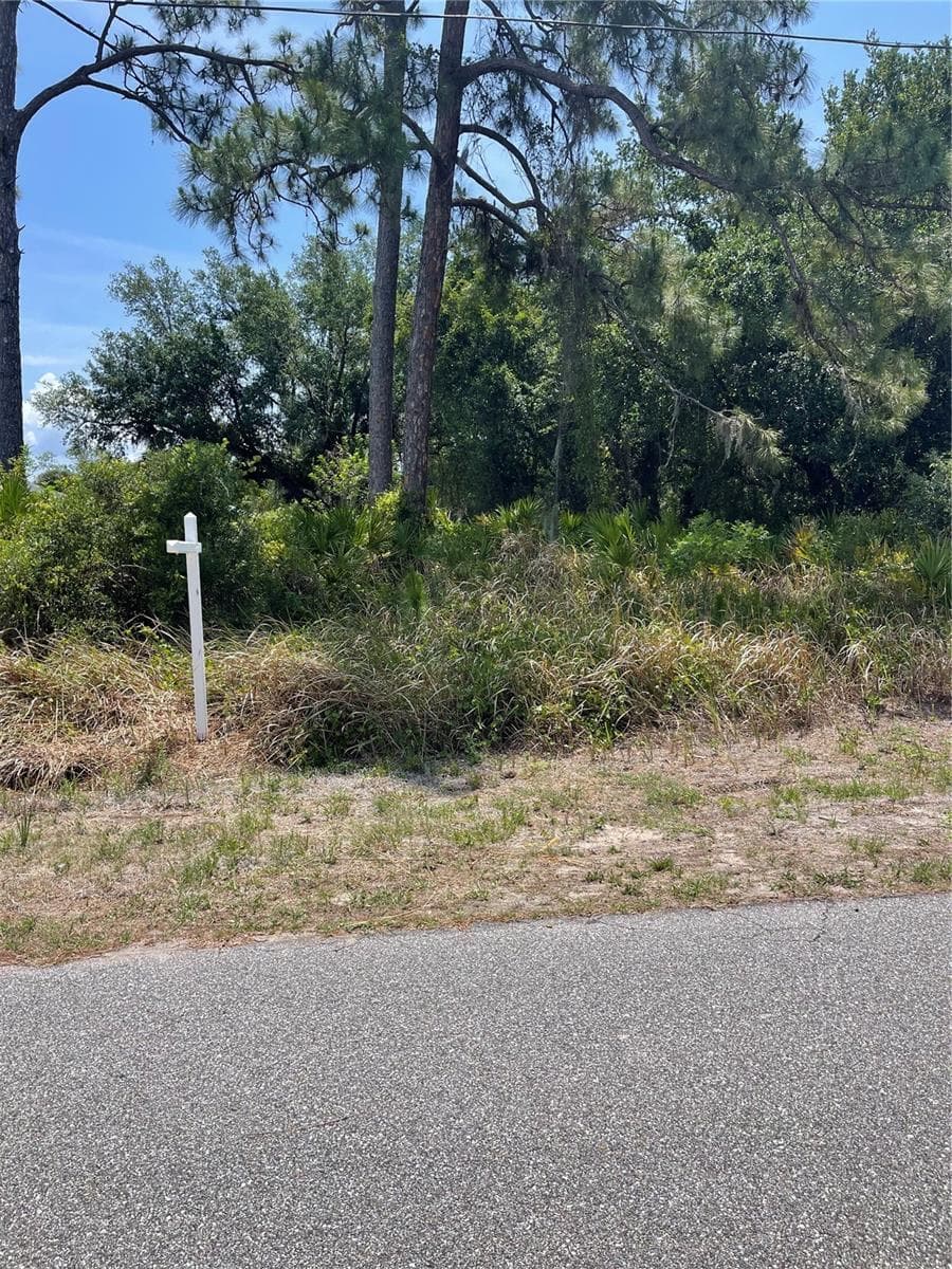 Land at 134 KIRBY ST, PORT CHARLOTTE, photo 8 of 8