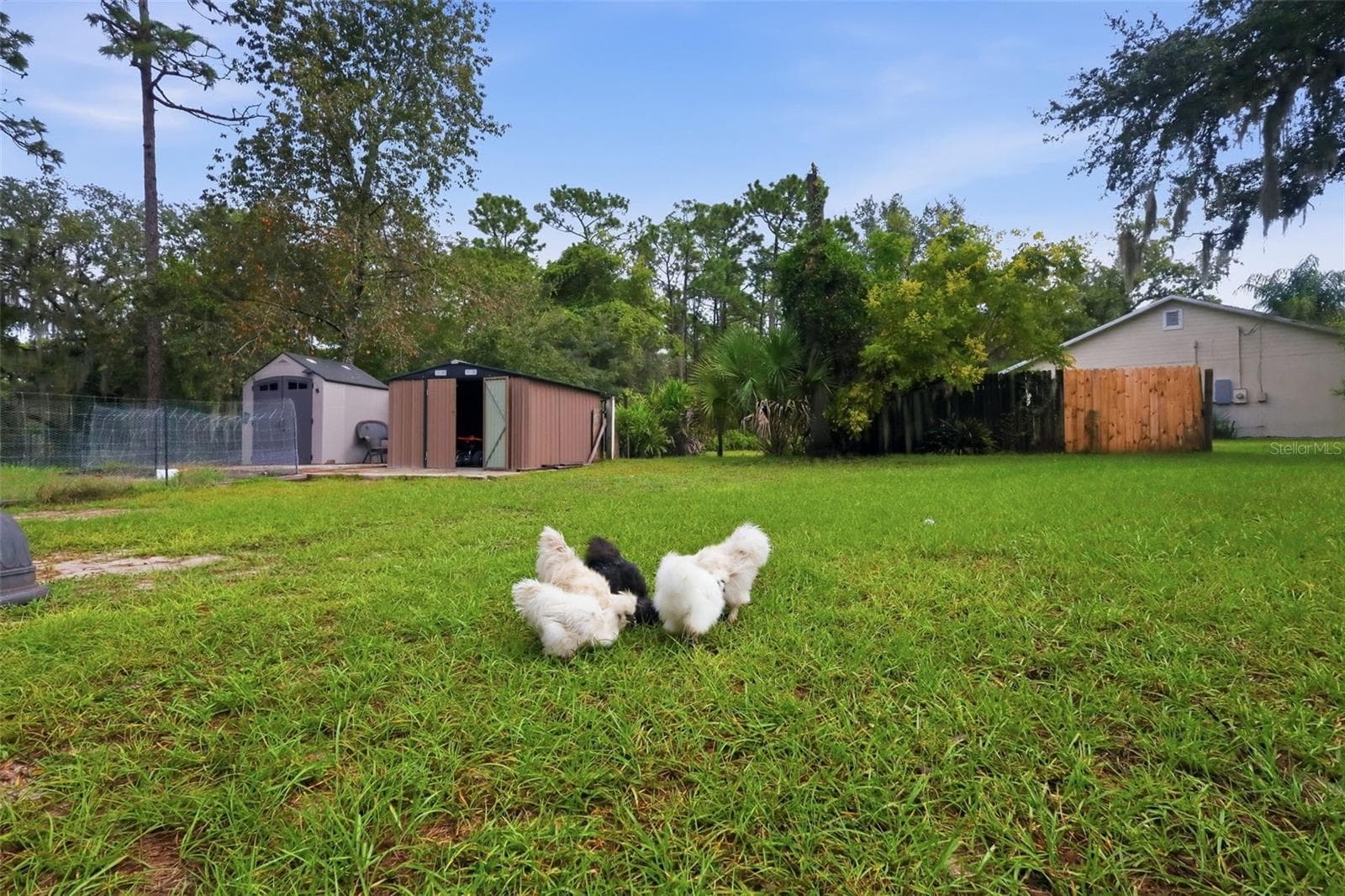 Chickens and coop can convey or not depending on buyer. - 2992 INCA CT, DELTONA