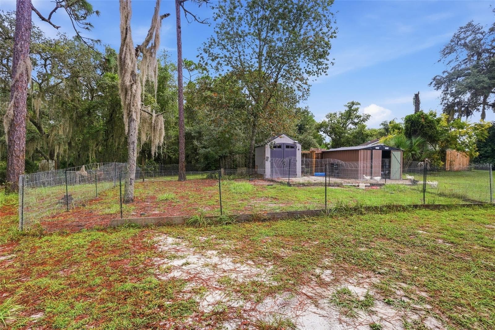 Chicken Coop and shed area, - 2992 INCA CT, DELTONA