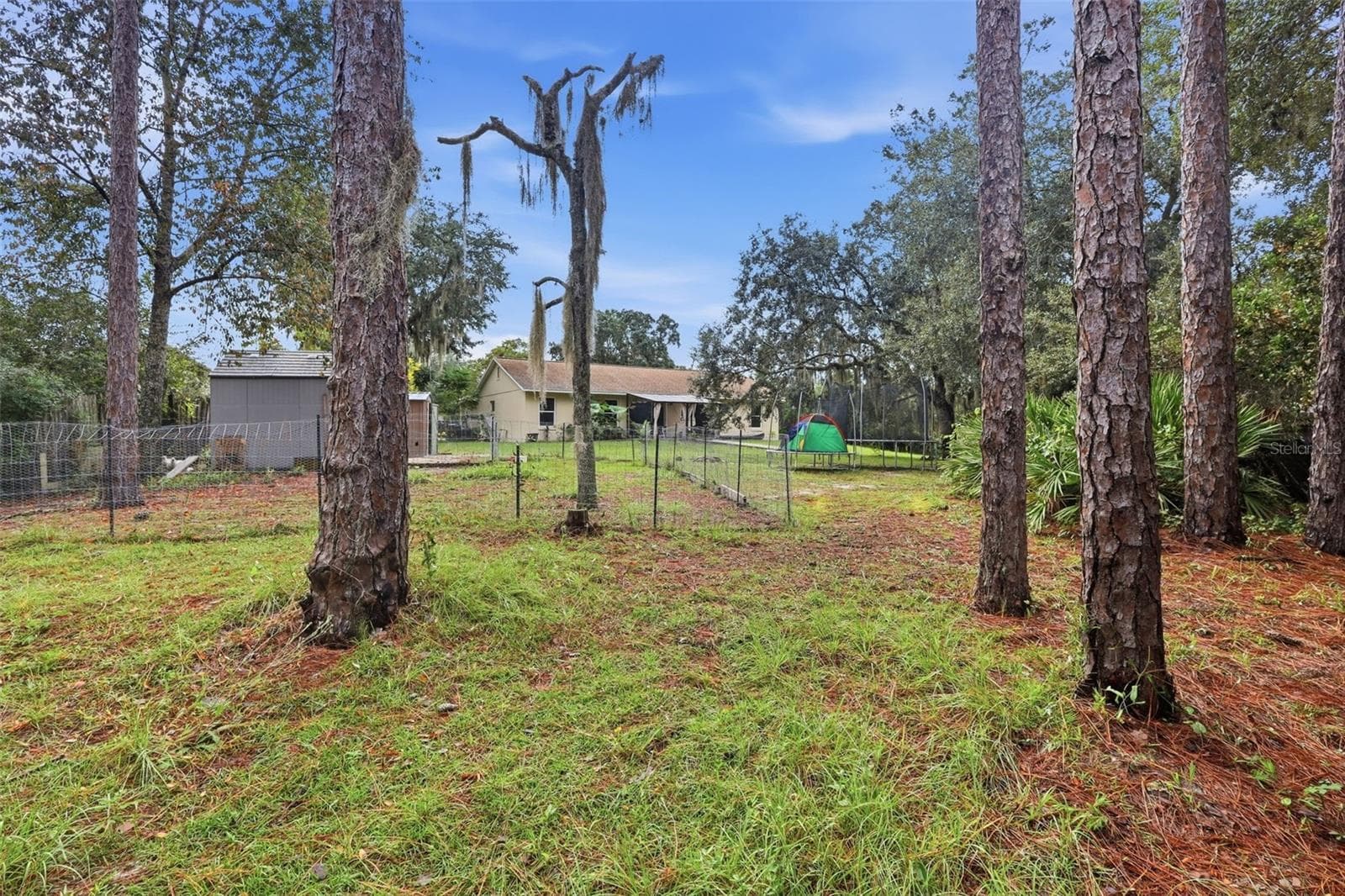 Mature trees on outskirts of property line. - 2992 INCA CT, DELTONA