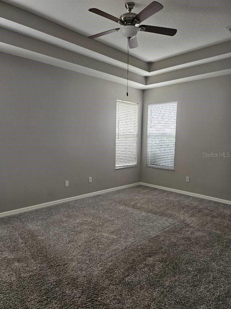 Single Family Residence at 12721 STANDBRIDGE DR, RIVERVIEW, photo 9 of 13