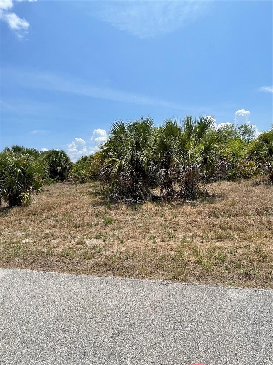 Land at 150 STERLING ST, PORT CHARLOTTE, photo 8 of 10