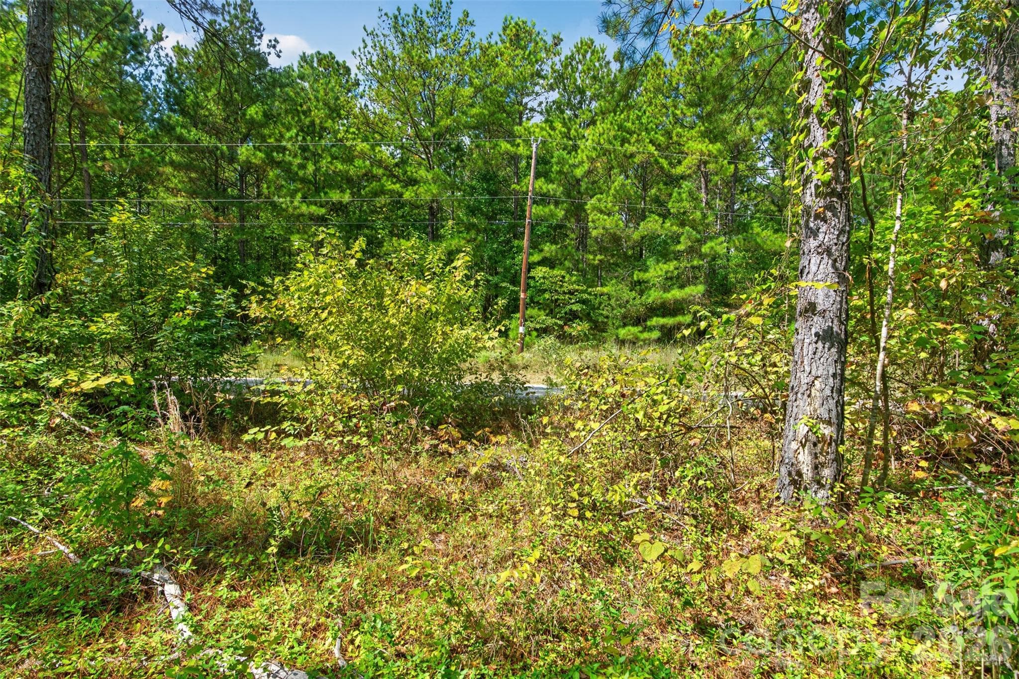 Acreage at 0000 Garvin Road, York, photo 10 of 36