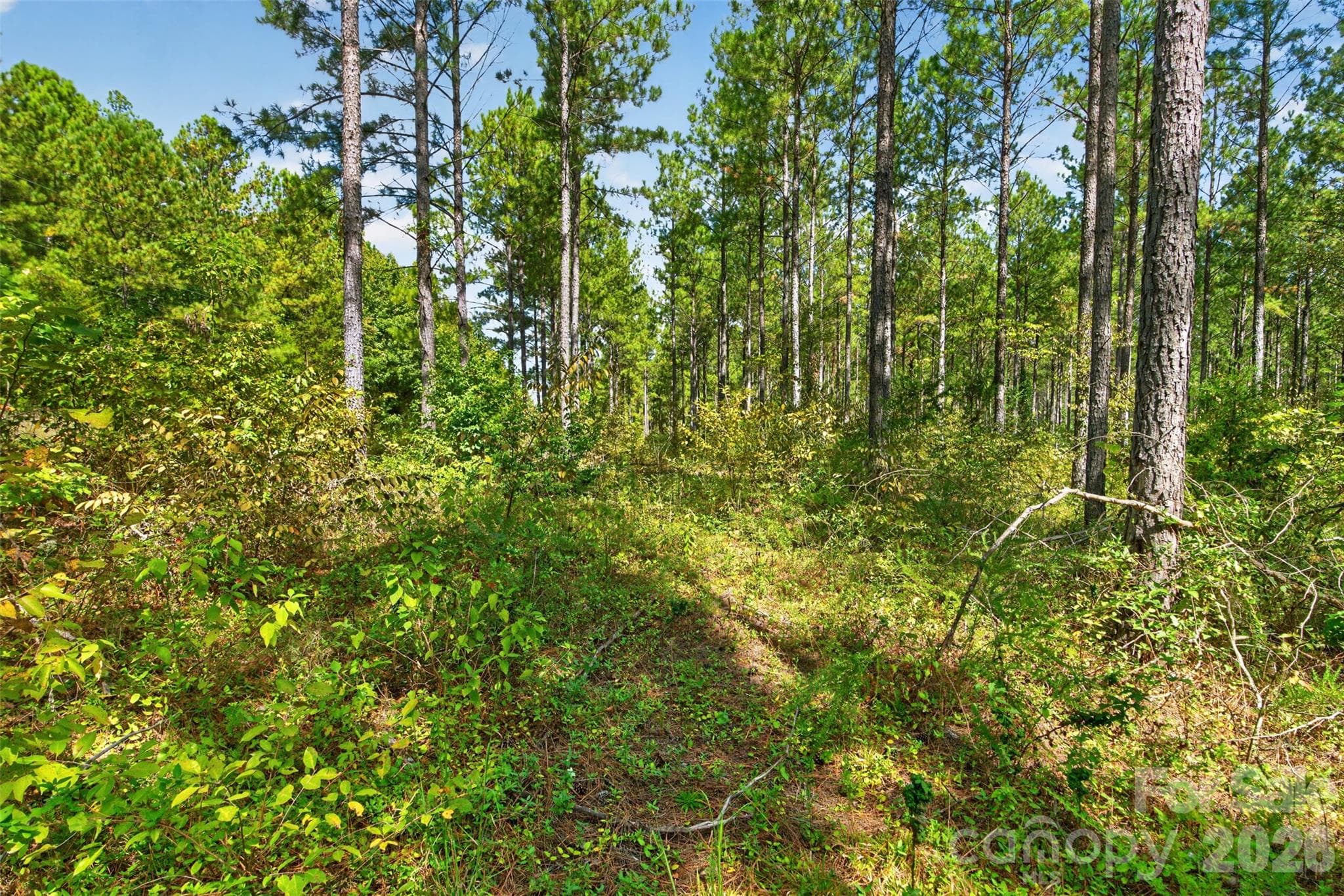 Acreage at 0000 Garvin Road, York, photo 11 of 36