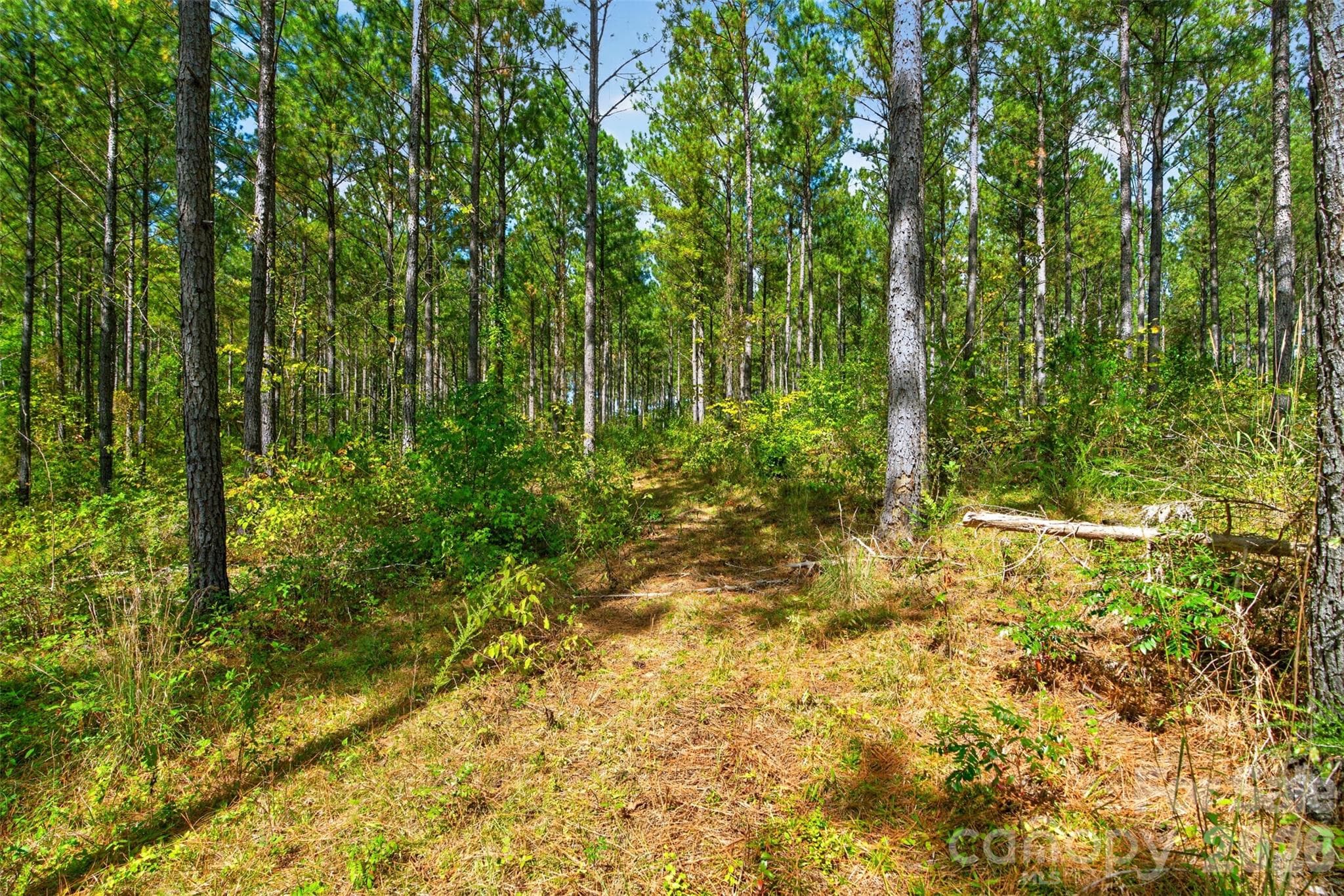 Acreage at 0000 Garvin Road, York, photo 14 of 36