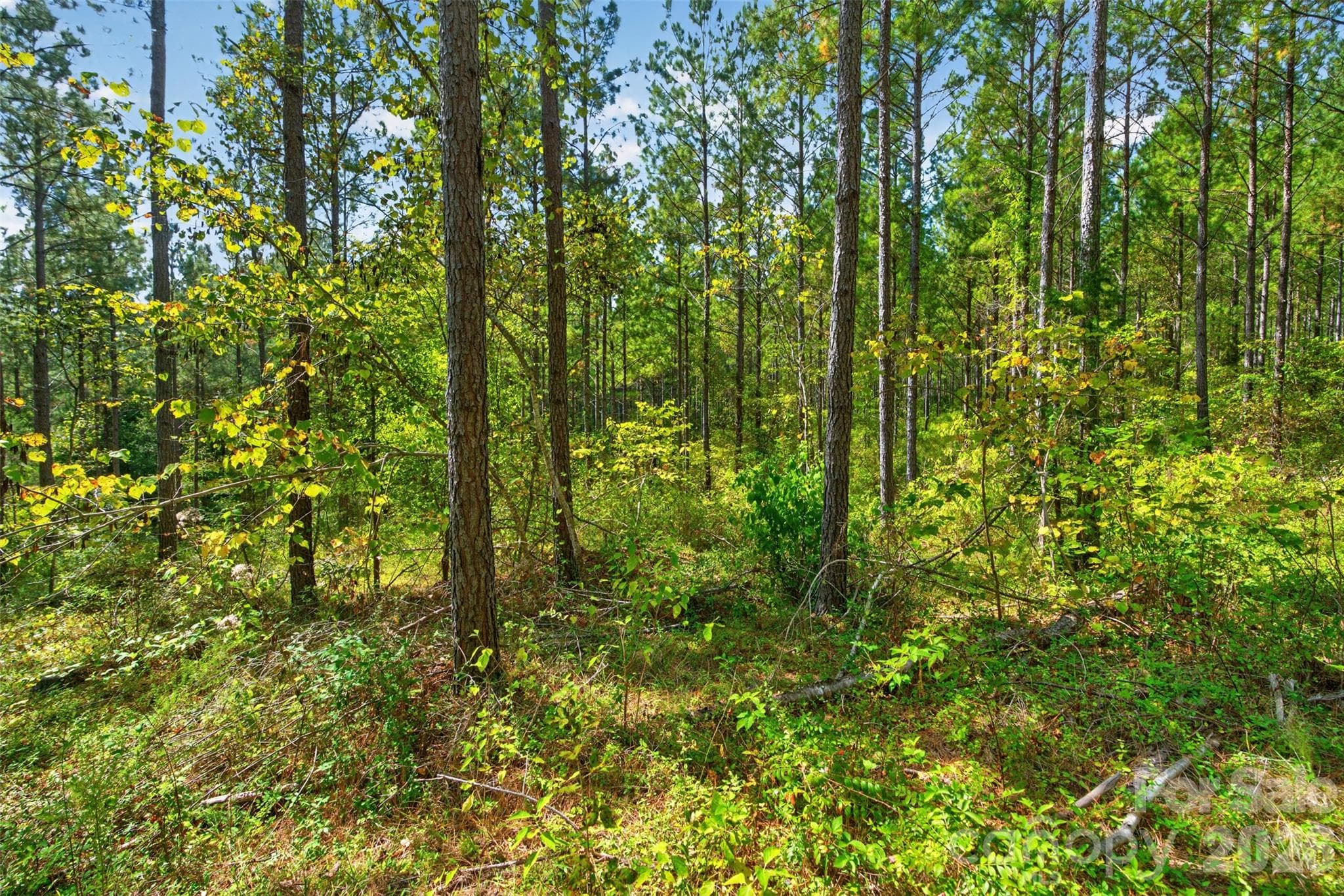 Acreage at 0000 Garvin Road, York, photo 15 of 36