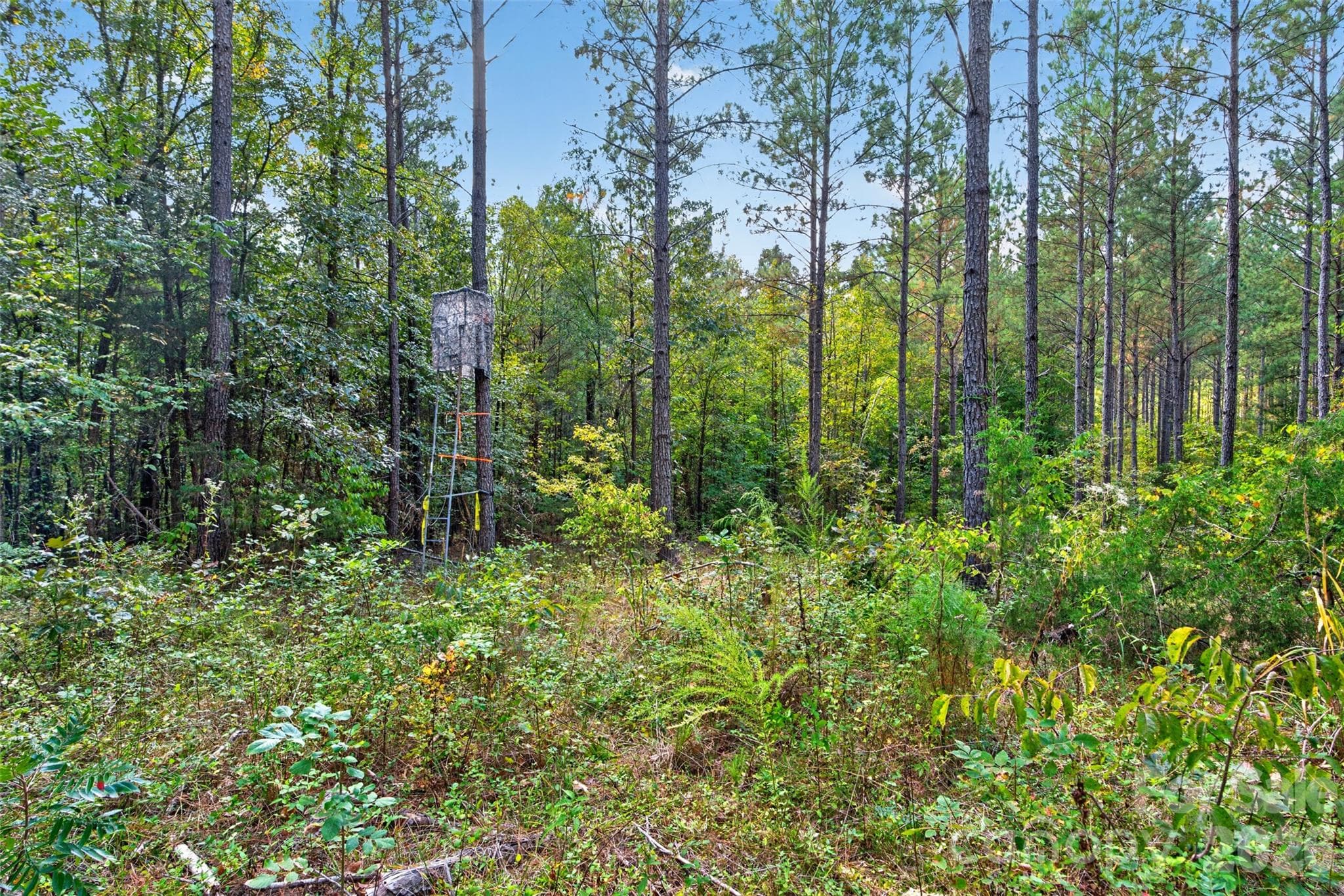 Acreage at 0000 Garvin Road, York, photo 17 of 36