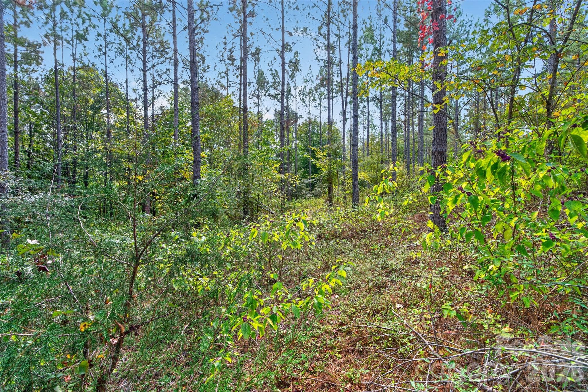 Acreage at 0000 Garvin Road, York, photo 19 of 36
