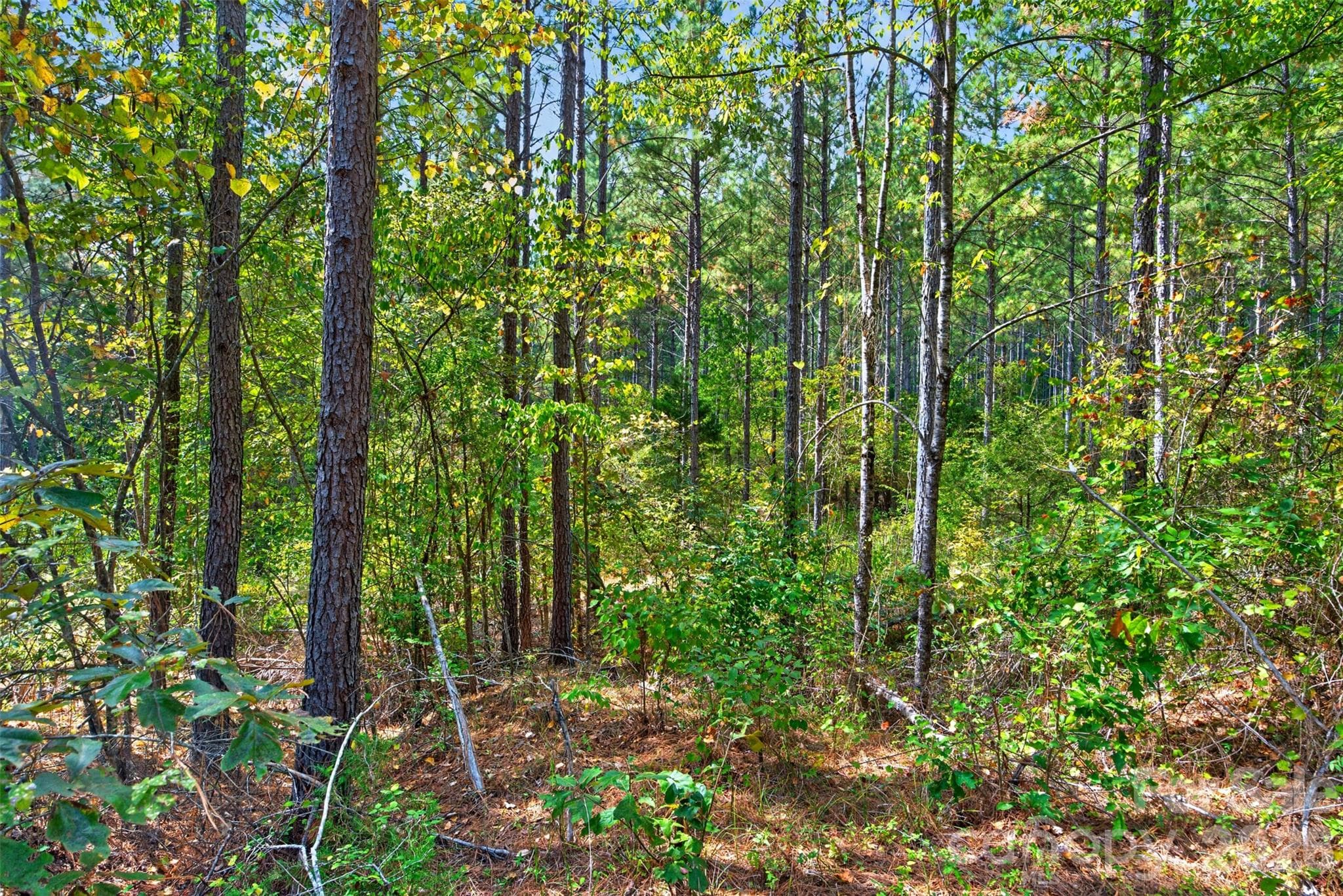 Acreage at 0000 Garvin Road, York, photo 20 of 36