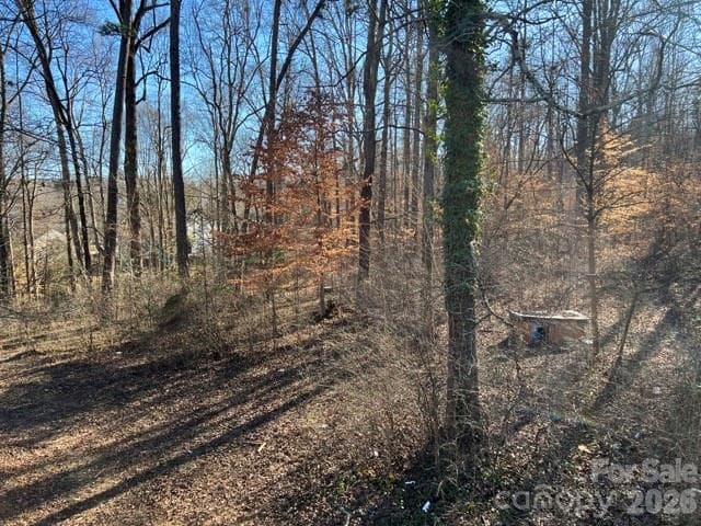 Acreage at 7100 Ridge Lane Road, Charlotte, photo 7 of 11