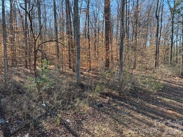 Acreage at 7100 Ridge Lane Road, Charlotte, photo 8 of 11