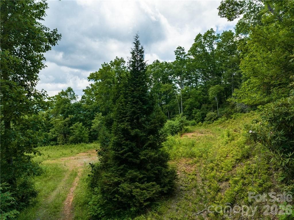 Lot at Sylva, photo 8 of 24