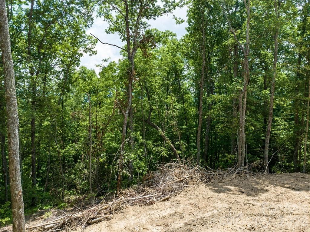 Lot at Sylva, photo 16 of 24