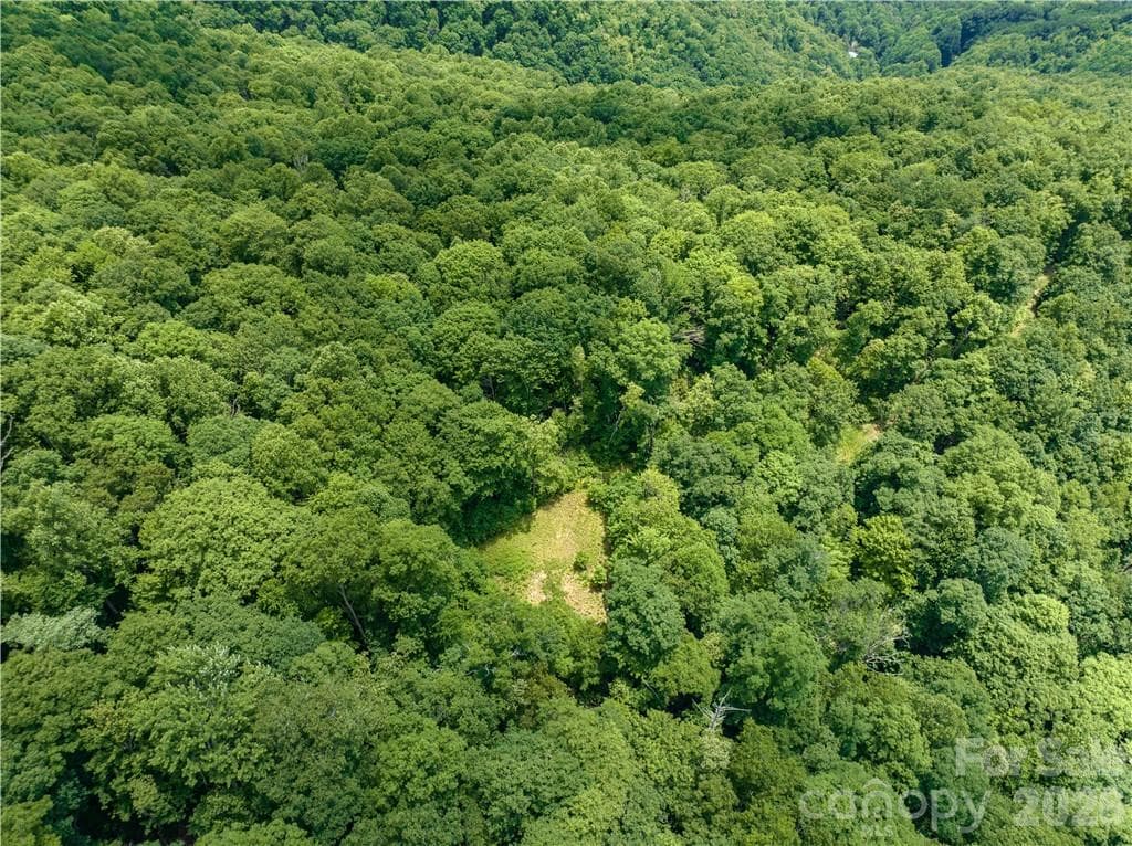Lot at Sylva, photo 4 of 16