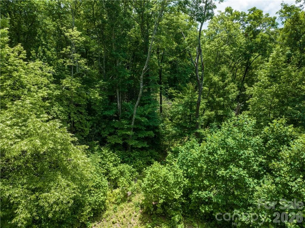 Lot at Sylva, photo 12 of 16