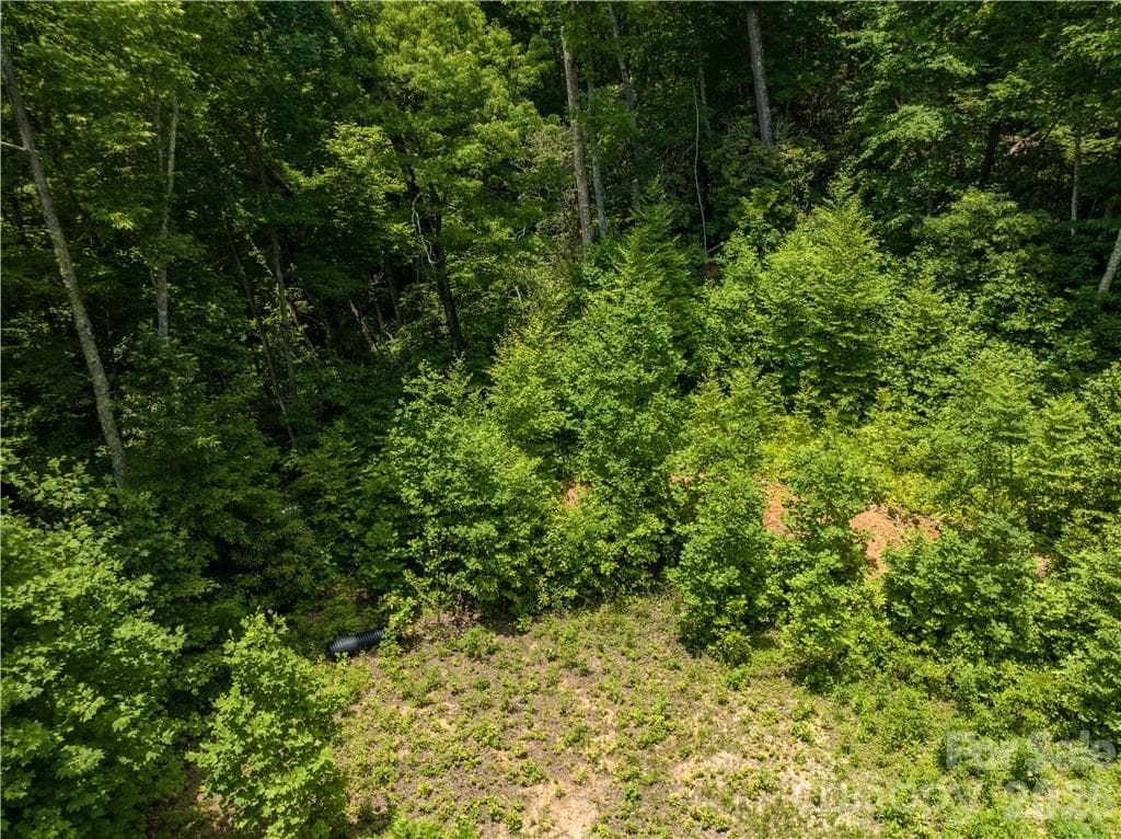 Lot at Sylva, photo 14 of 16