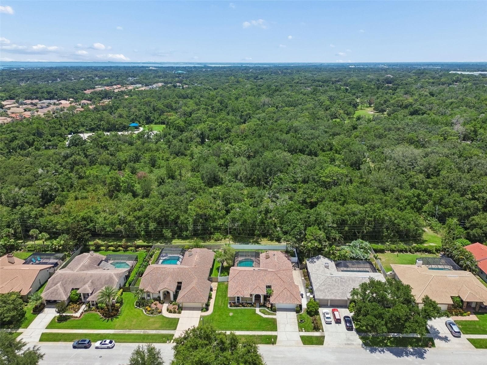 privacy- backs up to a park - 2937 HILLCREEK CIR S, CLEARWATER