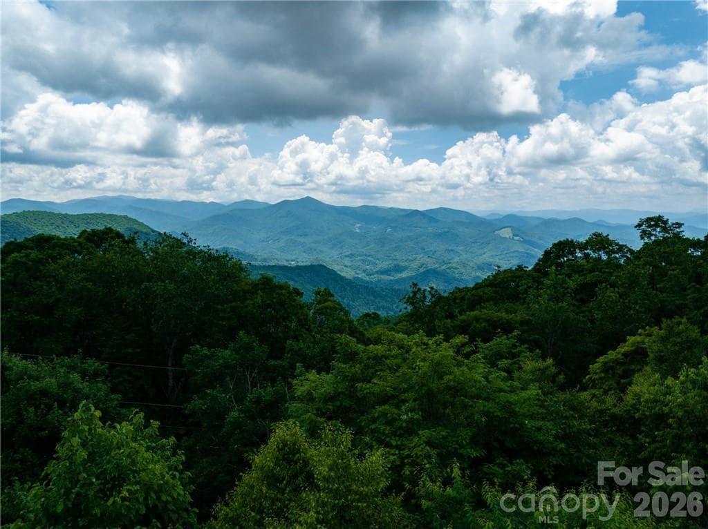 Single Family Residence at Sylva, photo 8 of 74