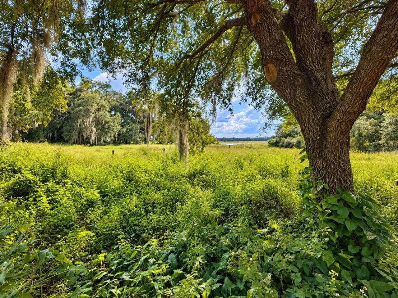 Single Family Residence at 26143 LAMBETH RD, BROOKSVILLE, photo 56 of 61