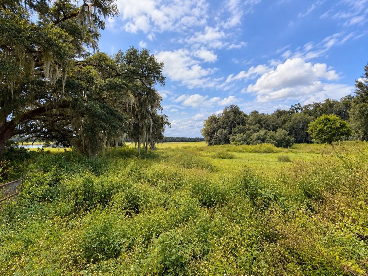 Single Family Residence at 26143 LAMBETH RD, BROOKSVILLE, photo 59 of 61