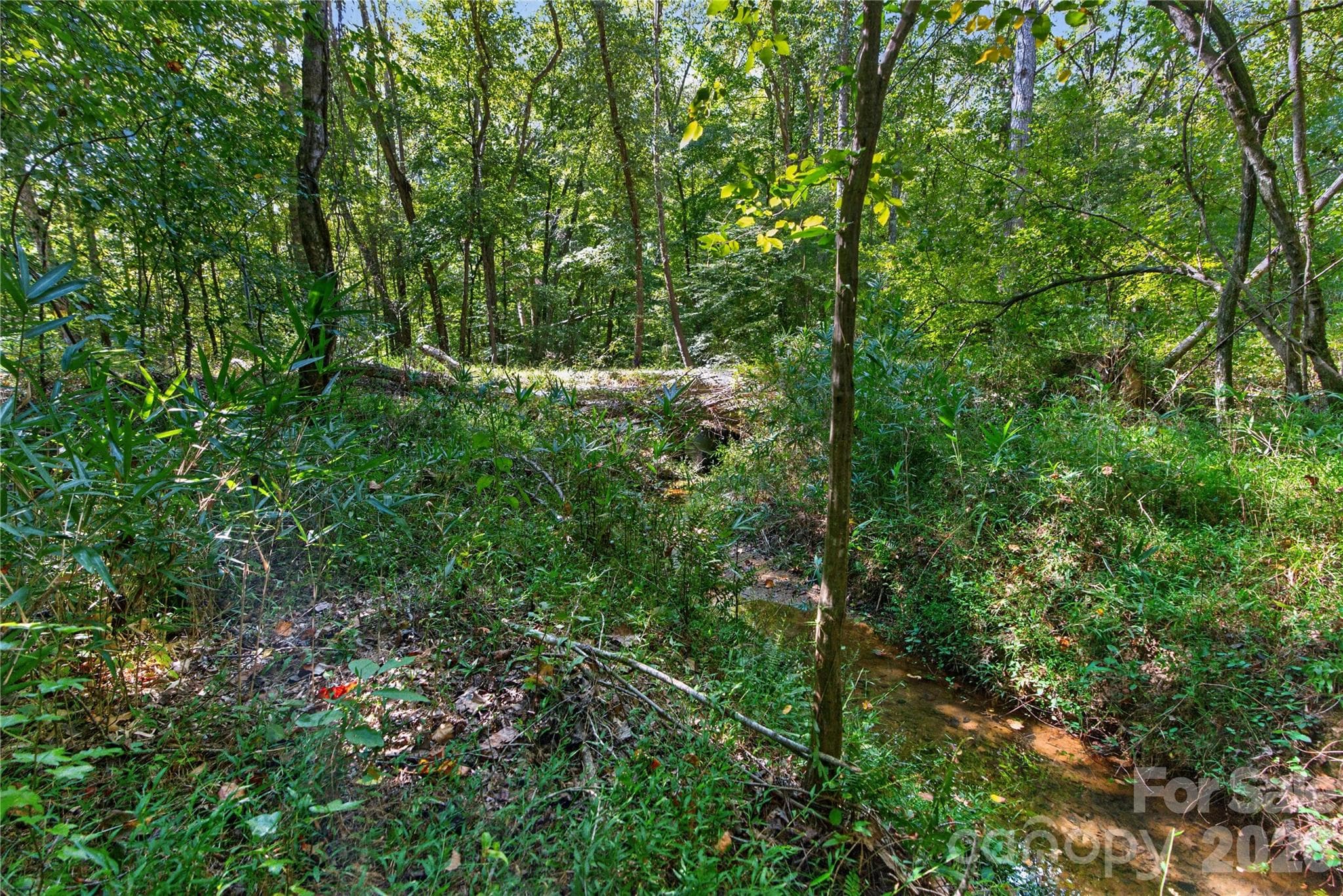 Acreage at 0000 Narrow Bridge Road, Chester, photo 4 of 36