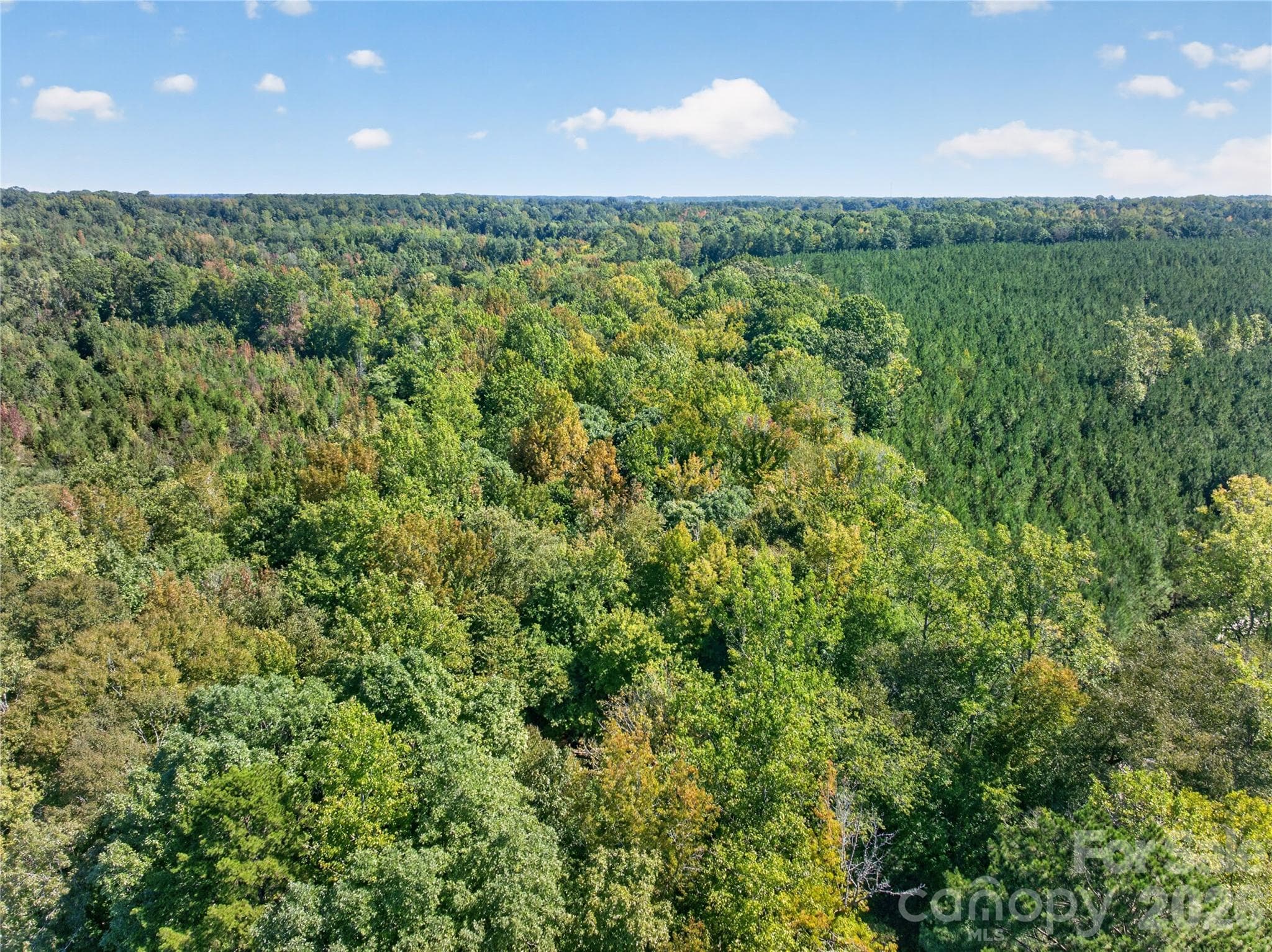 Birds Eye view of the hardwoods - 0000 Narrow Bridge Road, Chester