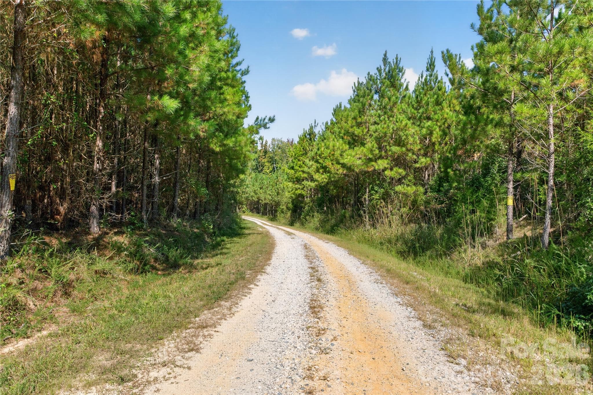 Acreage at 0000 Narrow Bridge Road, Chester, photo 6 of 36