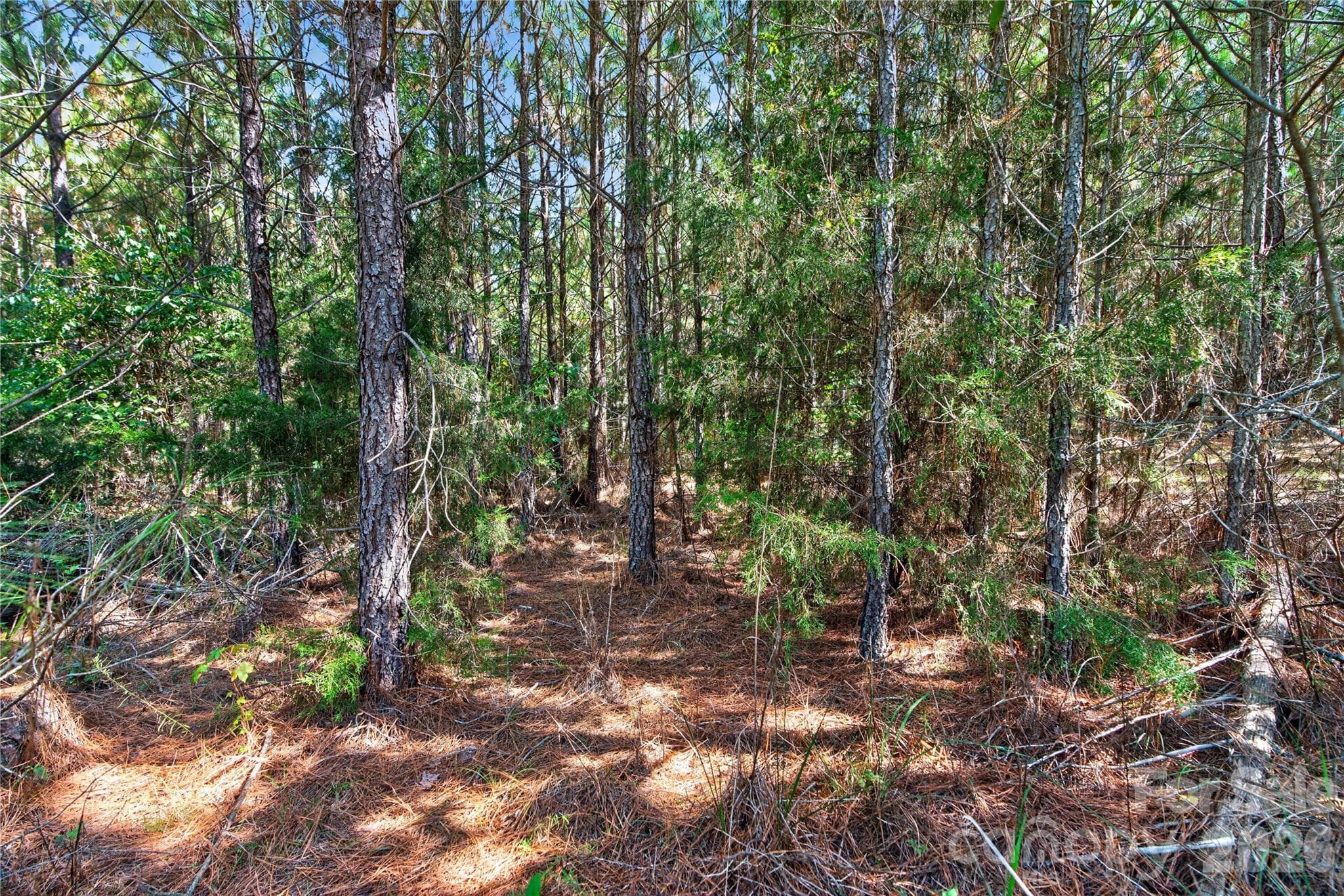 Acreage at 0000 Narrow Bridge Road, Chester, photo 10 of 36