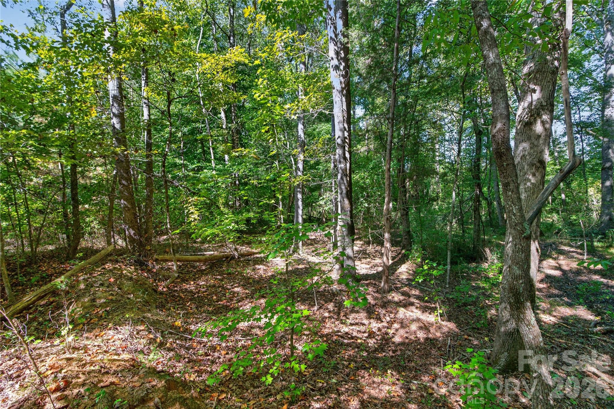 Acreage at 0000 Narrow Bridge Road, Chester, photo 11 of 36
