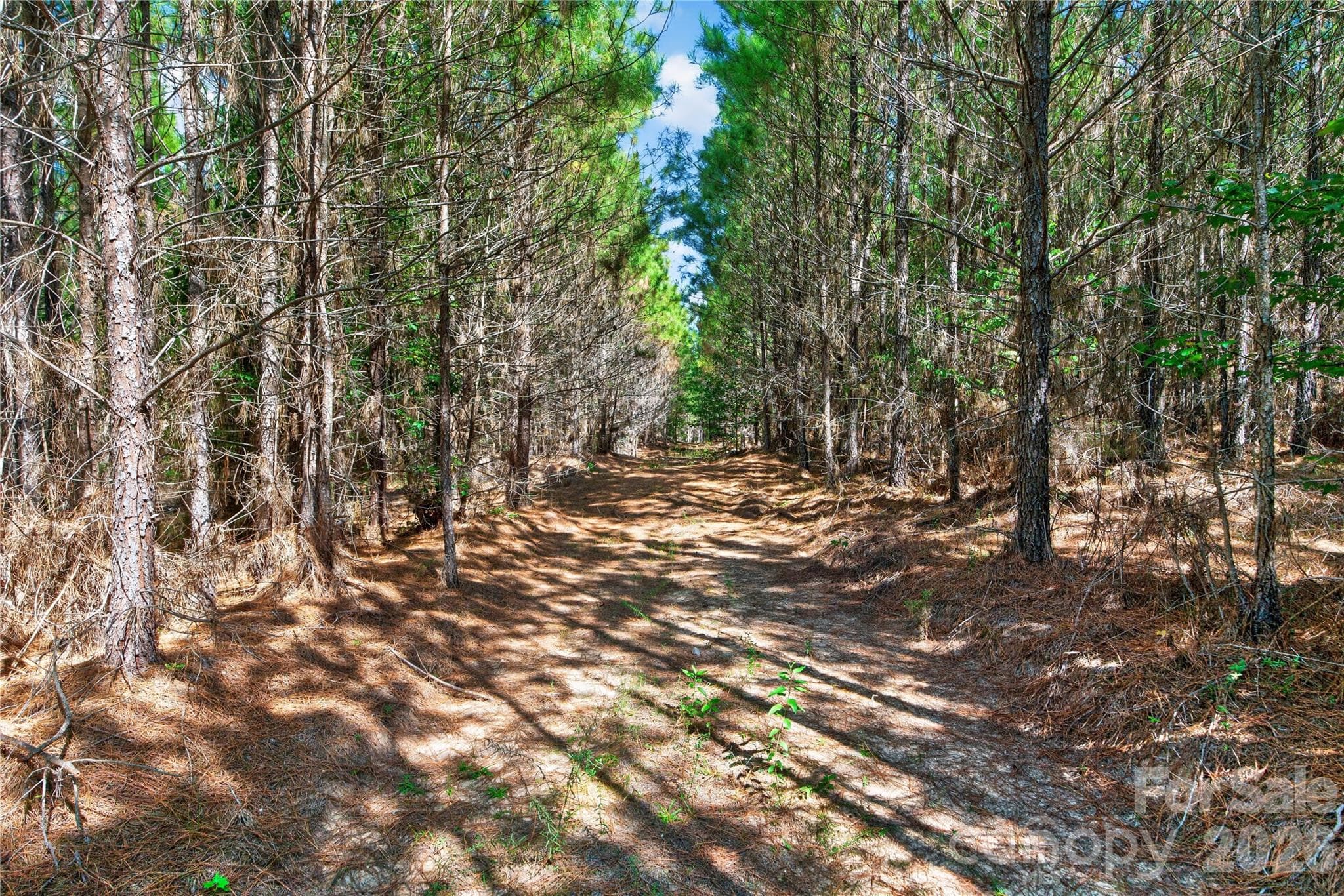 Acreage at 0000 Narrow Bridge Road, Chester, photo 12 of 36