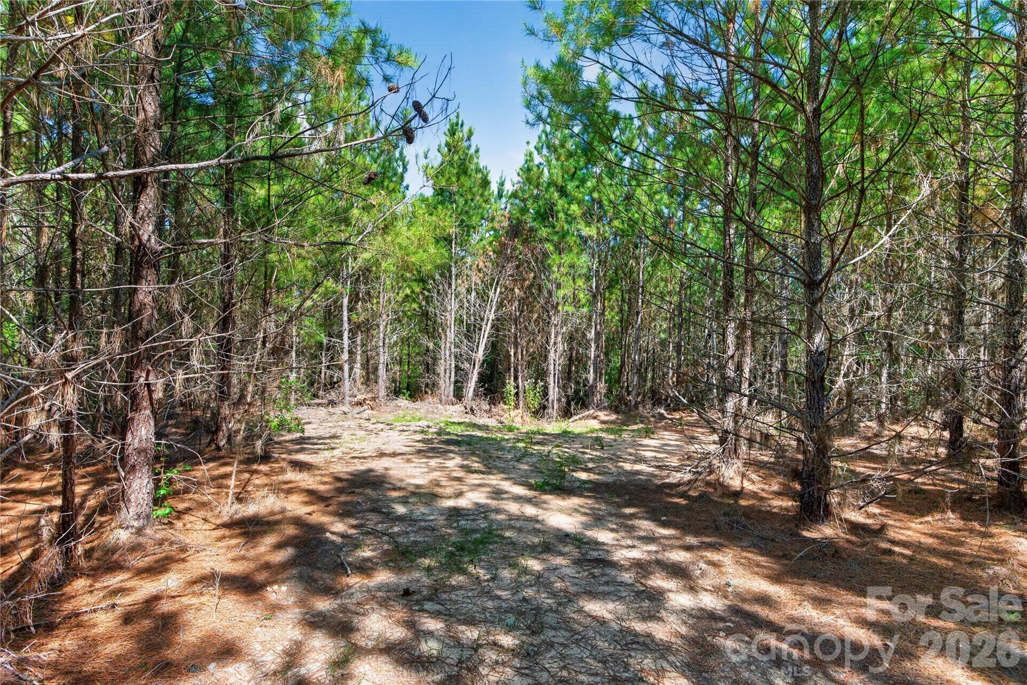 Acreage at 0000 Narrow Bridge Road, Chester, photo 13 of 36