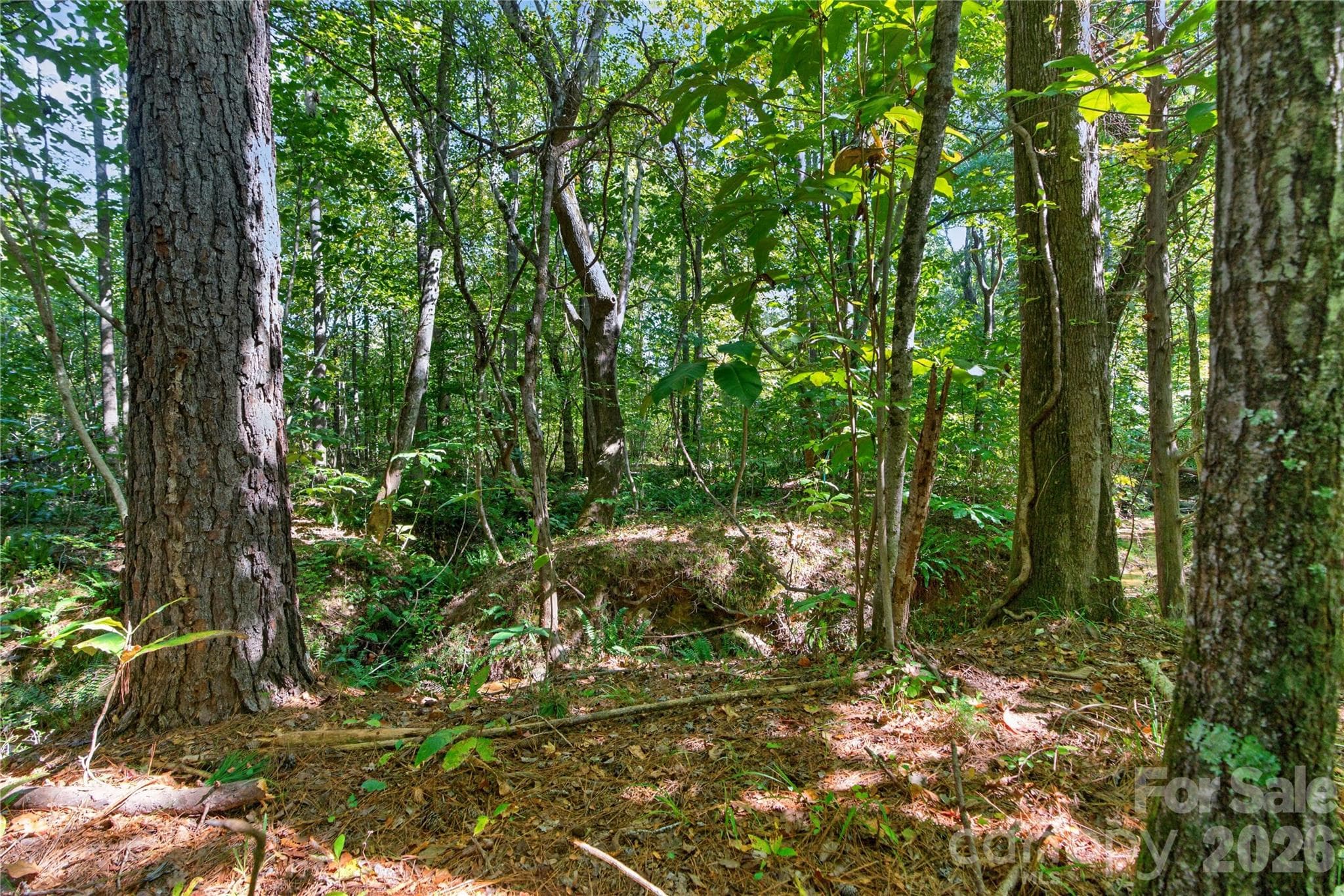Acreage at 0000 Narrow Bridge Road, Chester, photo 14 of 36