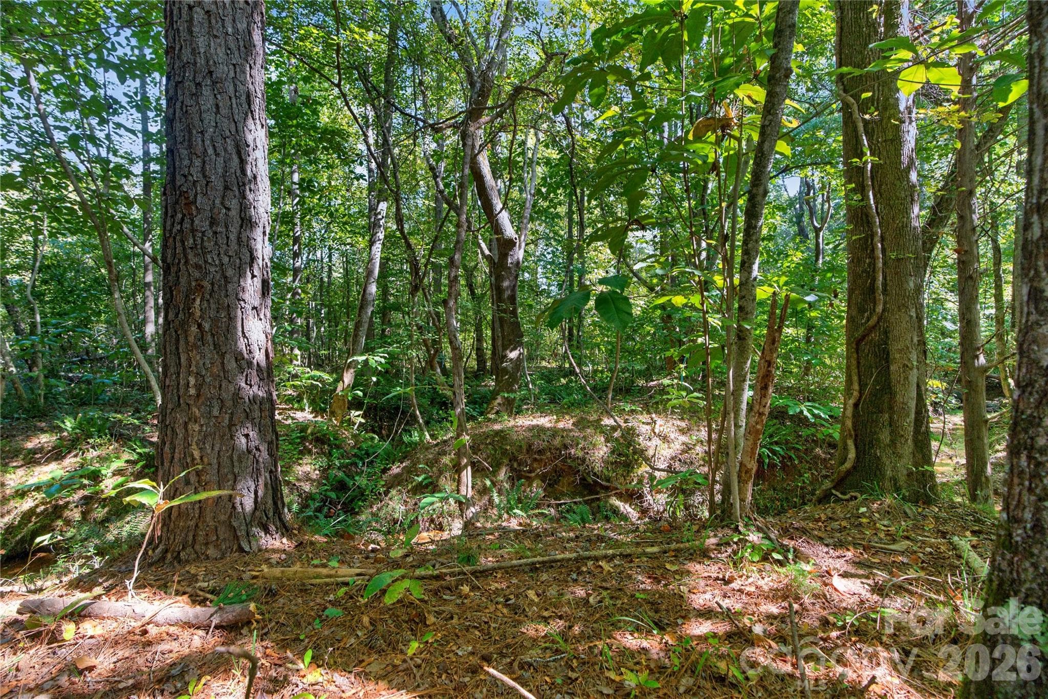 Acreage at 0000 Narrow Bridge Road, Chester, photo 16 of 36