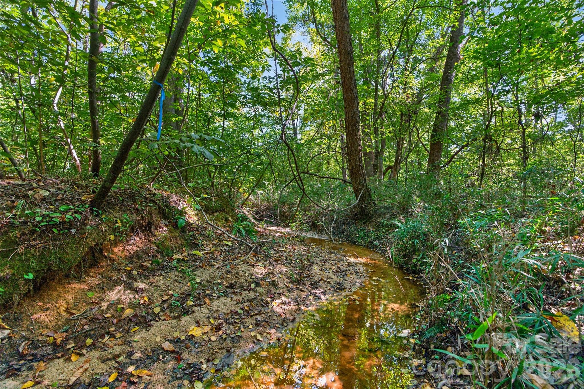 Acreage at 0000 Narrow Bridge Road, Chester, photo 18 of 36