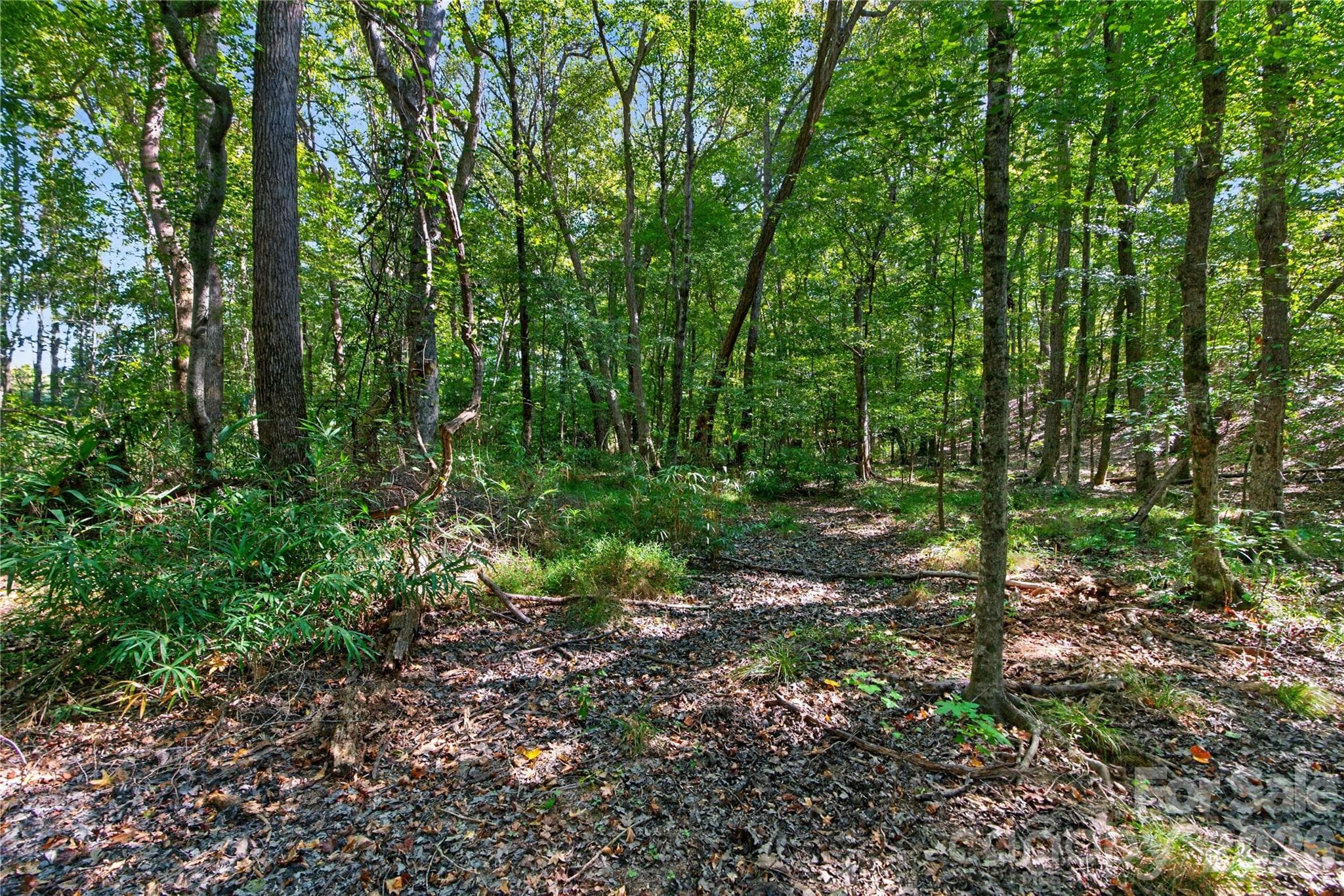 Acreage at 0000 Narrow Bridge Road, Chester, photo 19 of 36