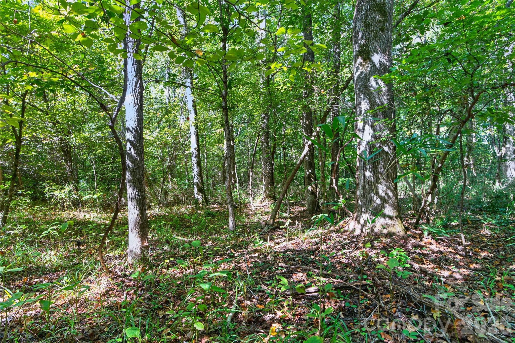 Acreage at 0000 Narrow Bridge Road, Chester, photo 21 of 36