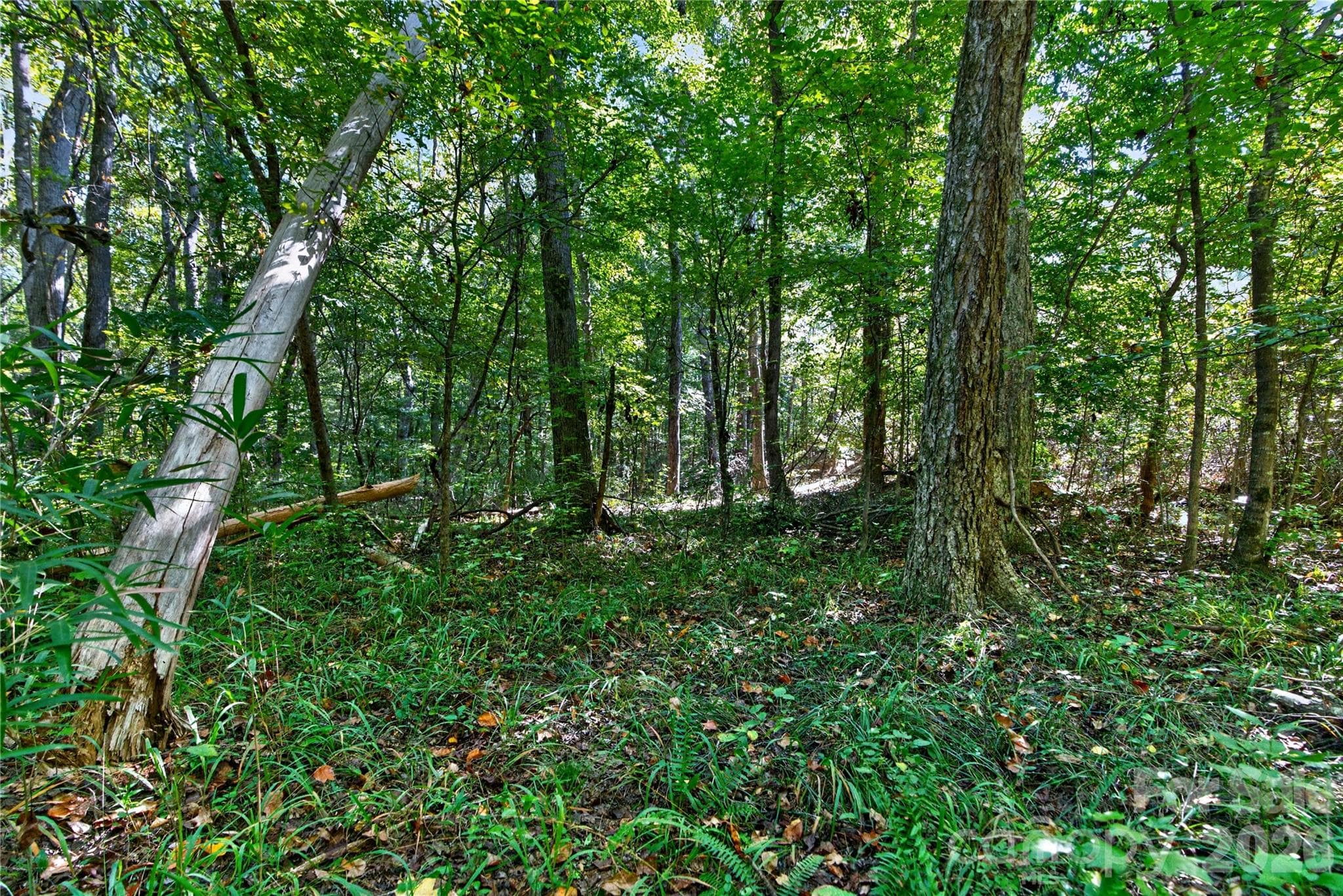 Acreage at 0000 Narrow Bridge Road, Chester, photo 22 of 36