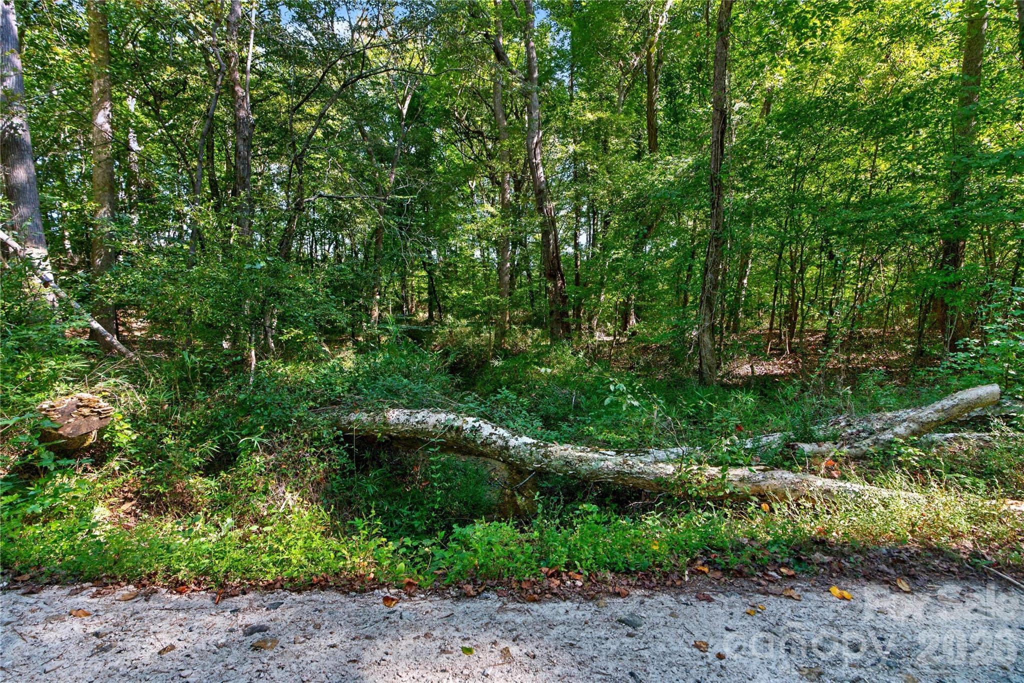 Acreage at 0000 Narrow Bridge Road, Chester, photo 25 of 36